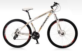 Bicicleta rodado 29 moutain bike mint futura